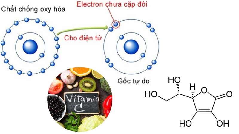 Vitamin C hỗ trợ giảm thiểu quá trình Oxy Hóa